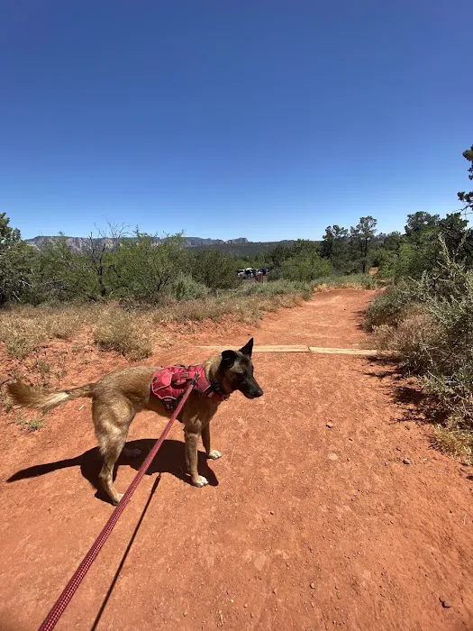 Desert Hills Animal Hospital Picture 7