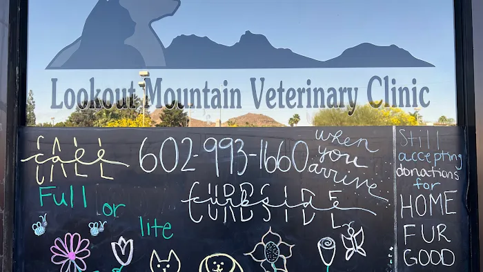Lookout Mountain Veterinary Clinic Picture 9