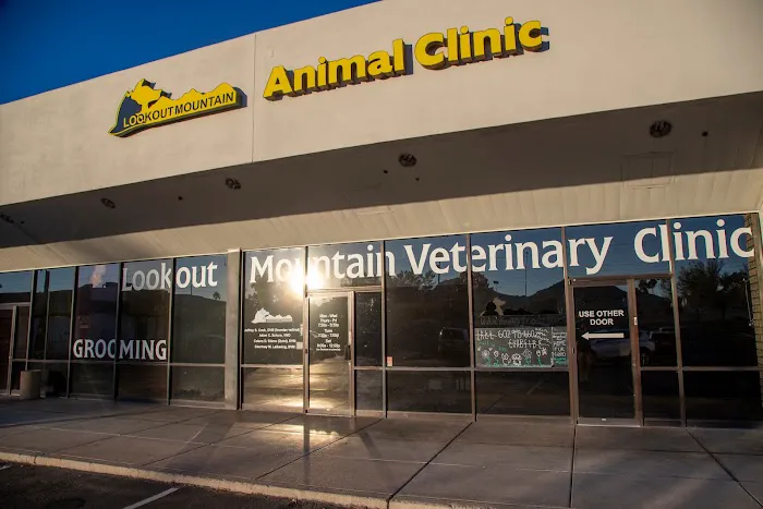 Lookout Mountain Veterinary Clinic Picture 6