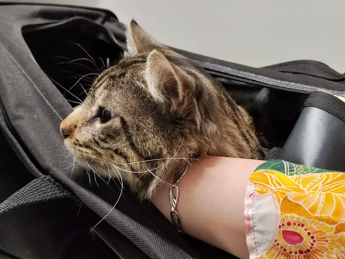 Desert Ridge Animal Hospital Picture 8