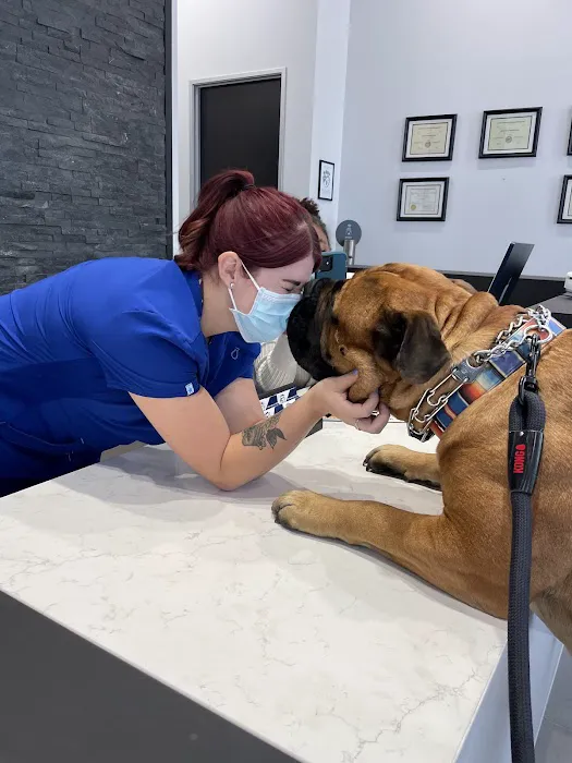 Desert Ridge Animal Hospital Picture 9