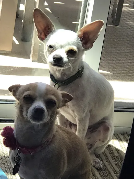 Banfield Pet Hospital Picture 4