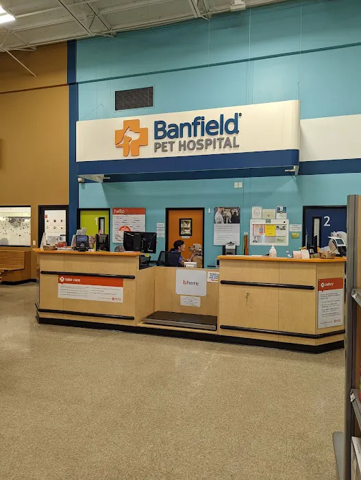 Banfield Pet Hospital Picture 2