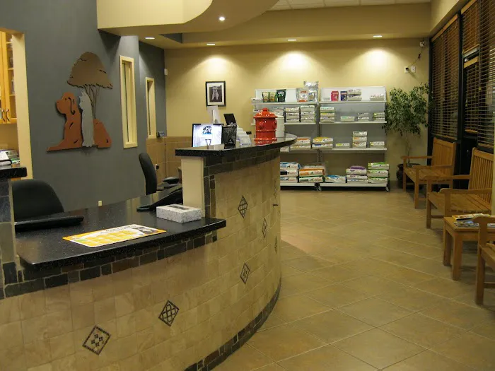 Ironwood Animal Hospital, A Thrive Pet Healthcare Partner Picture 6