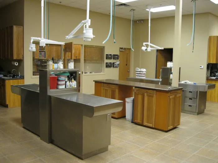 Ironwood Animal Hospital, A Thrive Pet Healthcare Partner Picture 7