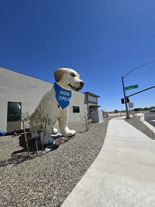 Empire Ranch Veterinary Hospital Picture 5