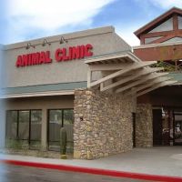 Johnson Ranch Animal Clinic ico