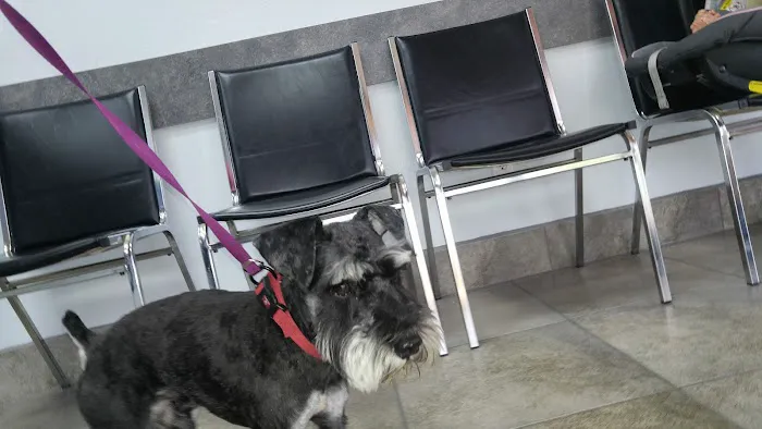 Johnson Ranch Animal Clinic Picture 7