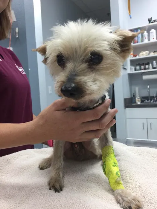 Johnson Ranch Animal Clinic Picture 5