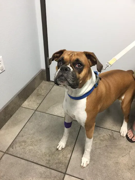 Johnson Ranch Animal Clinic Picture 6