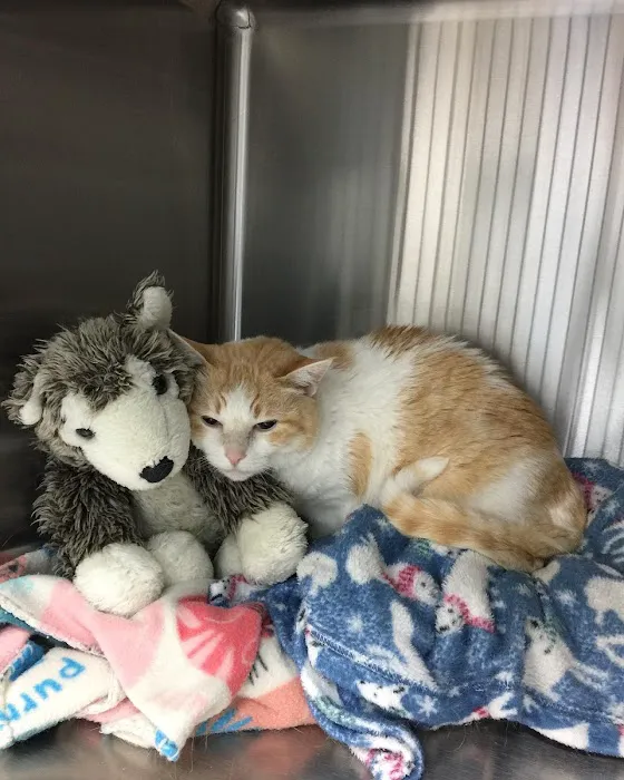 Johnson Ranch Animal Clinic Picture 8