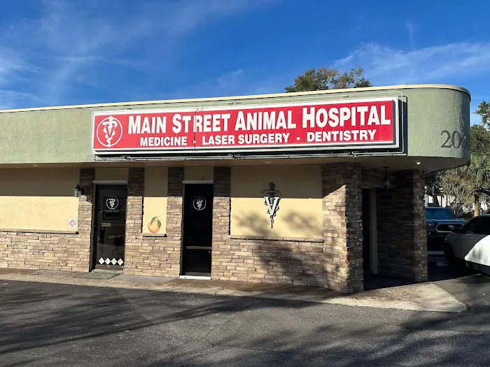 Main Street Animal Hospital Picture 10