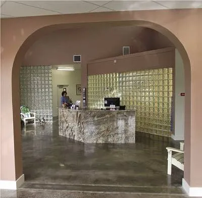 Dunedin Animal Medical Center & Pet Boarding Picture 2