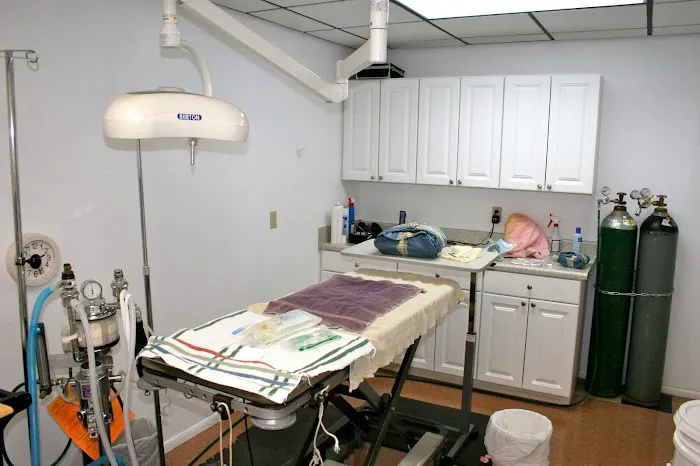 Sunset Veterinary Surgery Picture 9