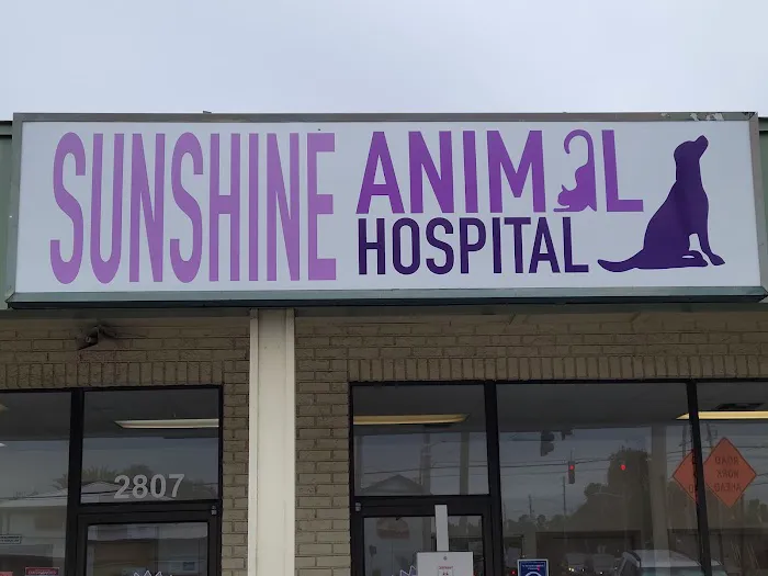Sunshine Animal Hospital Picture 1