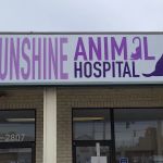 Sunshine Animal Hospital
