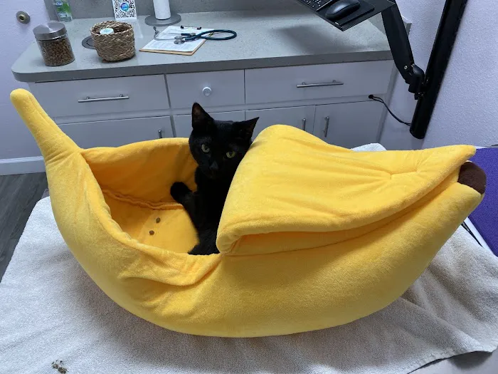 Sunshine Animal Hospital Picture 8