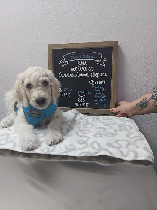 Sunshine Animal Hospital Picture 2
