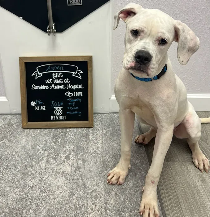 Sunshine Animal Hospital Picture 10