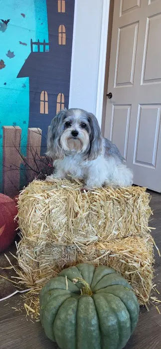 Sunshine Animal Hospital Picture 9