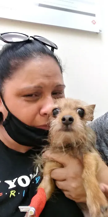 Banfield Pet Hospital Picture 6