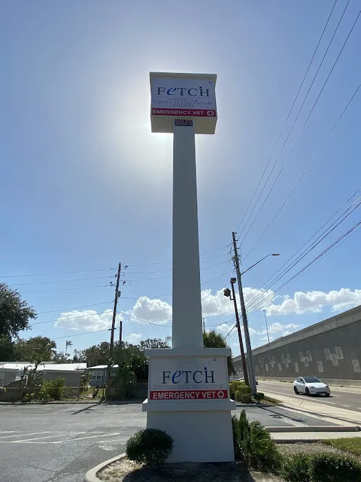 Fetch Specialty & Emergency Veterinary Centers - Clearwater, FL Picture 1