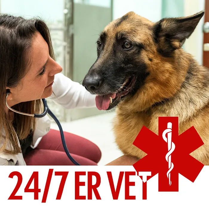 Fetch Specialty & Emergency Veterinary Centers - Clearwater, FL Picture 10