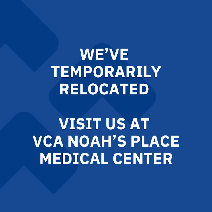 VCA Gulf Bay Animal Hospital Picture 7
