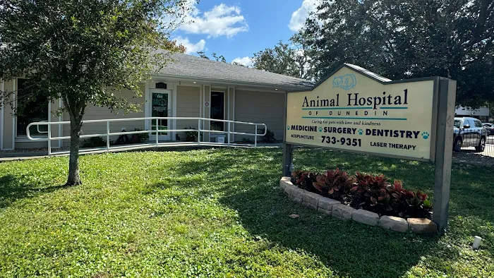 Animal Hospital of Dunedin Picture 10