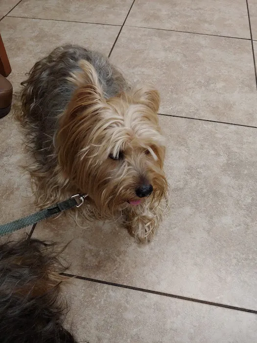 Animal Health Care Clinic Picture 10