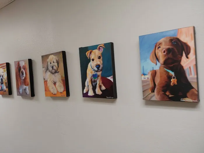 Animal Health Care Clinic Picture 5