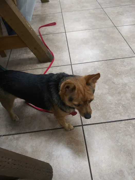 Spay & Neuter Clinic Picture 1