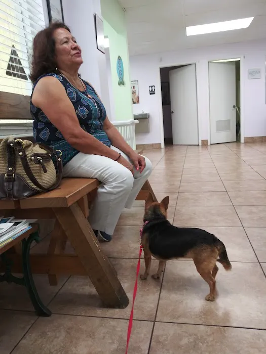 Spay & Neuter Clinic Picture 2