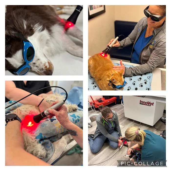 Skycrest Animal Hospital Picture 5