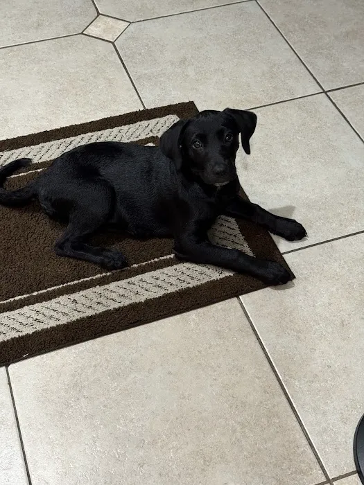 Skycrest Animal Hospital Picture 6