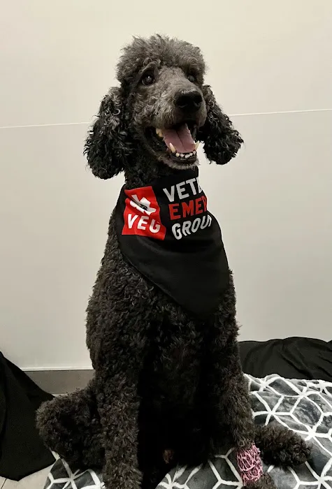 Veterinary Emergency Group Picture 10