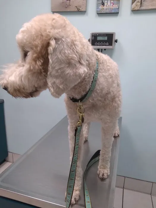 TLC Animal Hospital Picture 1