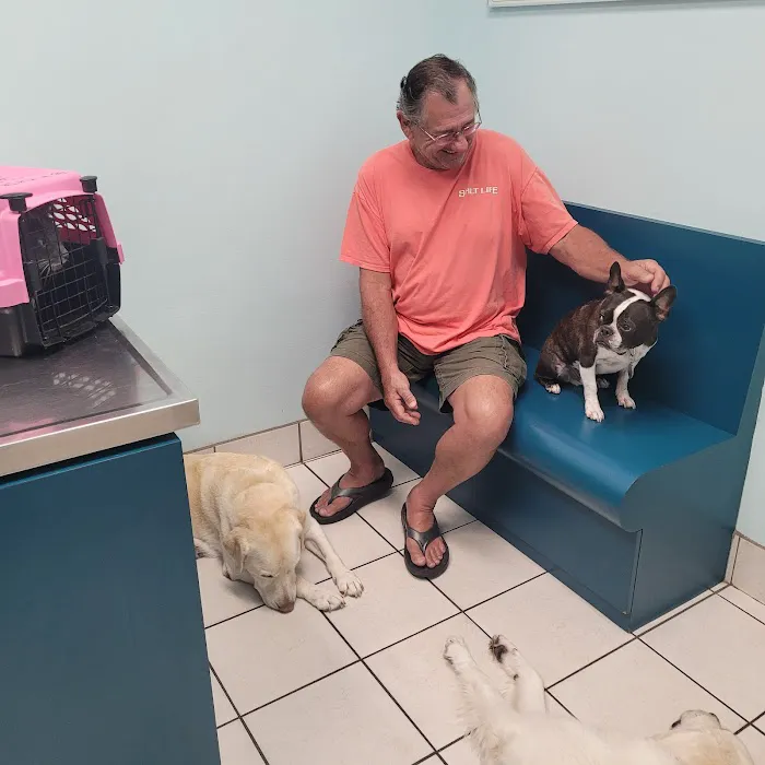 TLC Animal Hospital Picture 7