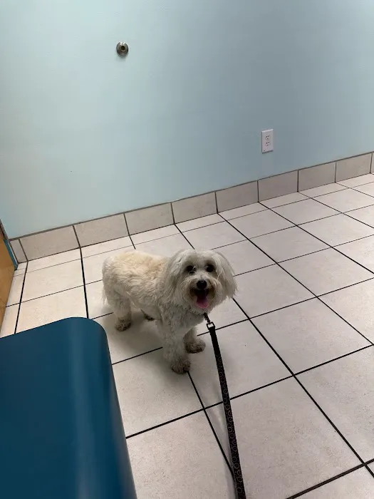 TLC Animal Hospital Picture 4
