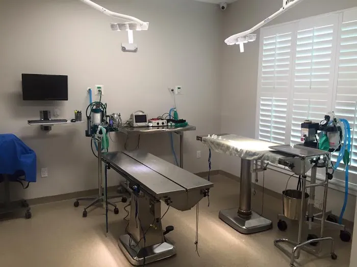 Day & Evening Pet Hospital & Surgical Center, A Thrive Pet Healthcare Partner Picture 9