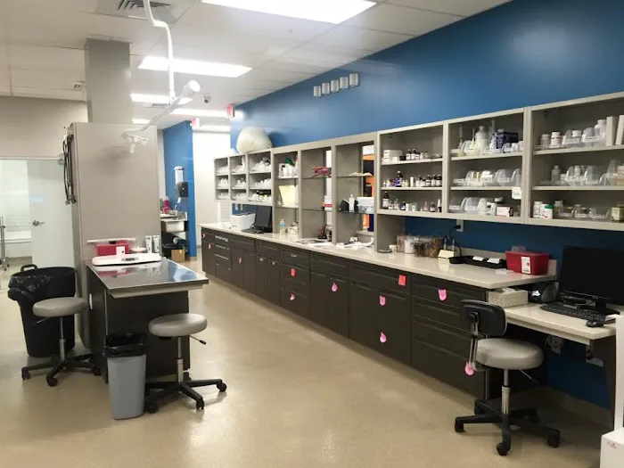 Day & Evening Pet Hospital & Surgical Center, A Thrive Pet Healthcare Partner Picture 8