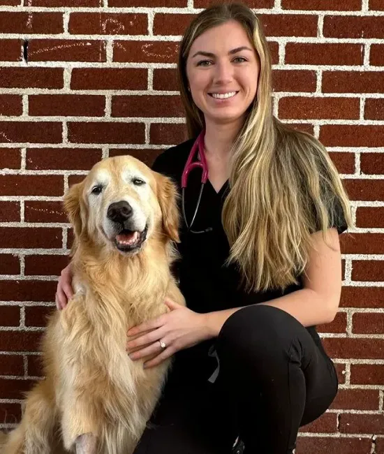 Anclote Animal Hospital Picture 8