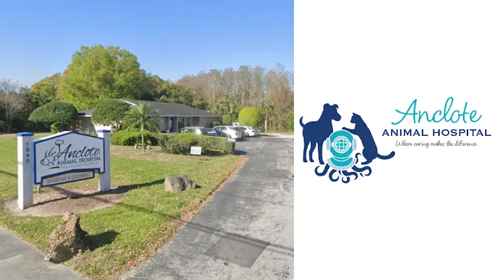 Anclote Animal Hospital Picture 10