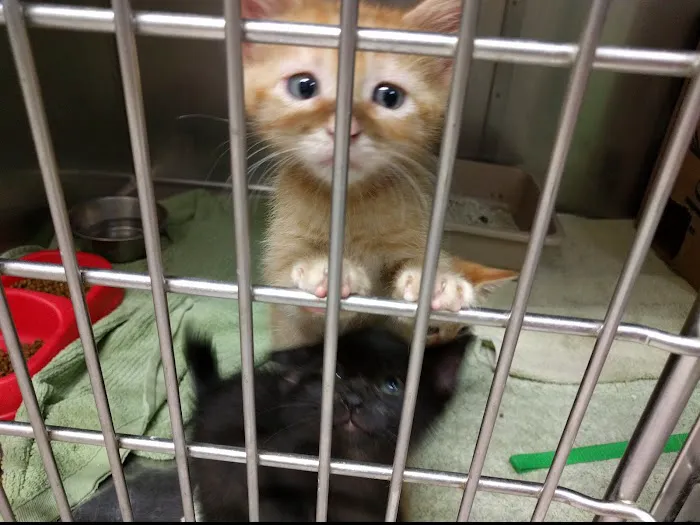 Anclote Animal Hospital Picture 4