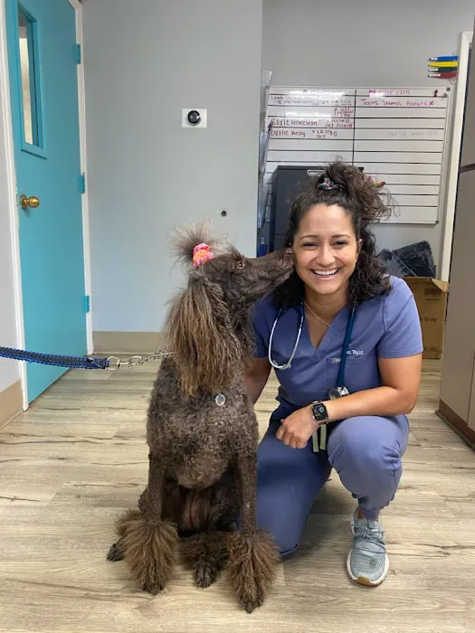 Anclote Animal Hospital Picture 1