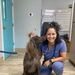 Anclote Animal Hospital