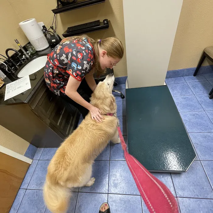 Hidden Oaks Animal Hospital Picture 8