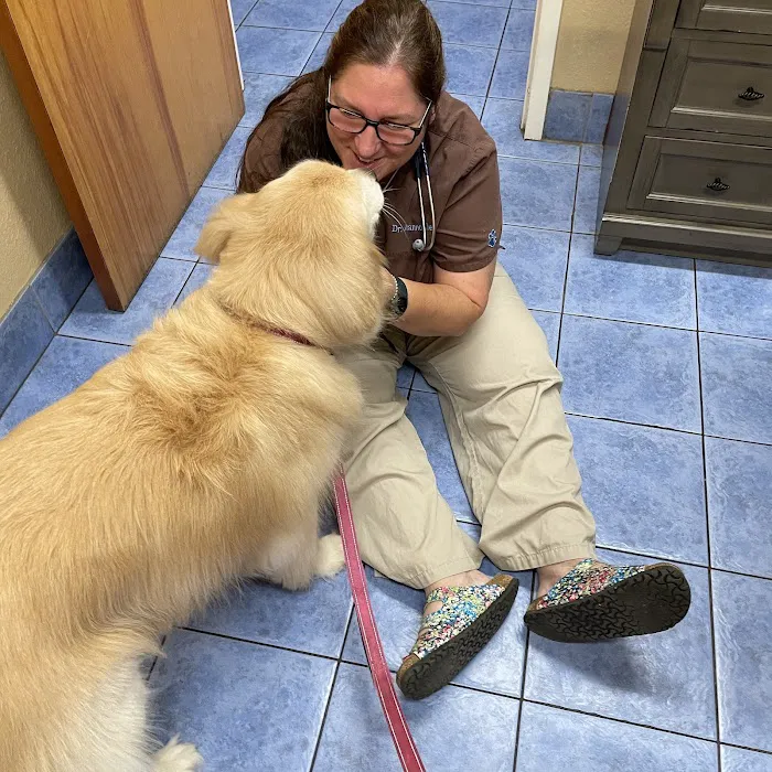 Hidden Oaks Animal Hospital Picture 9