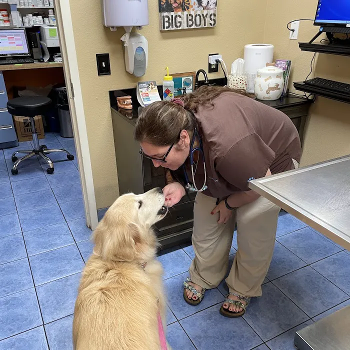 Hidden Oaks Animal Hospital Picture 10