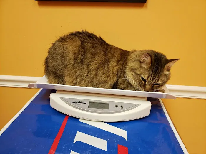 Pet First Veterinary Hospital Picture 4